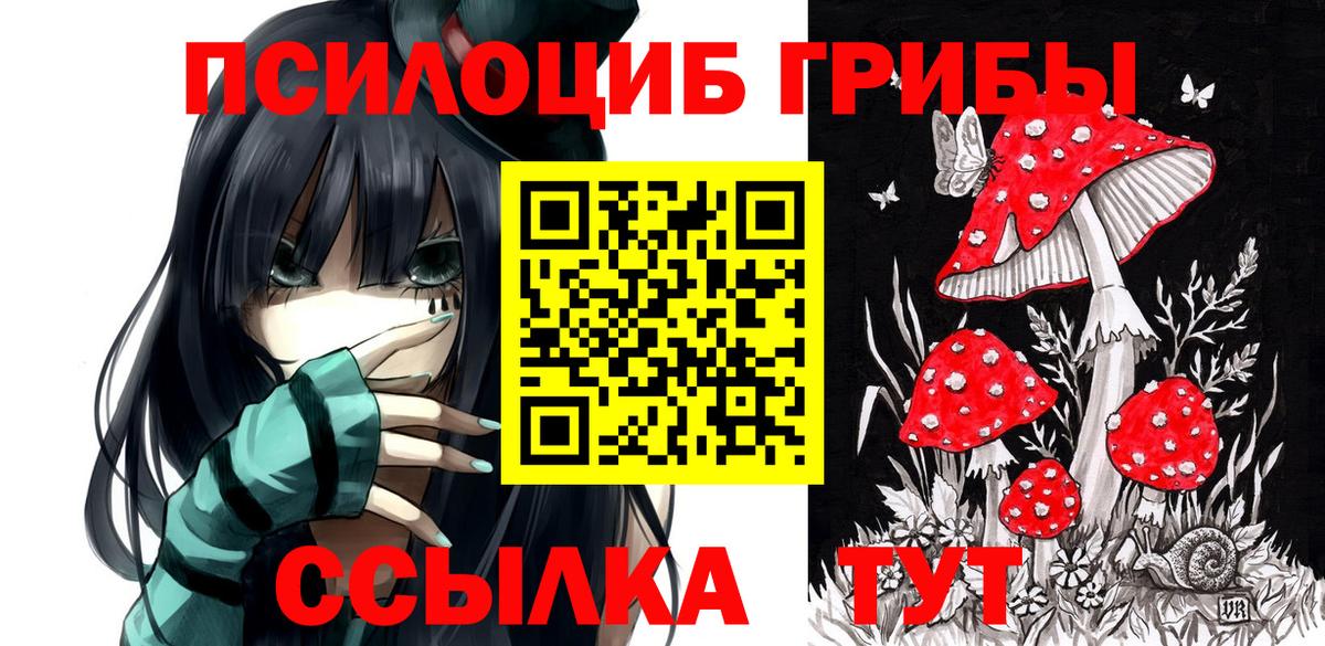 где можно купить   Псилоцибиновые грибы мицелий  Галлюциногенные грибы Psilocybe  Вход с VPN  Пенза 
