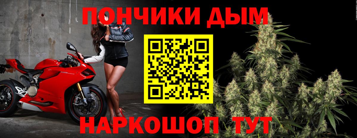 Конопля OG Kush Пенза